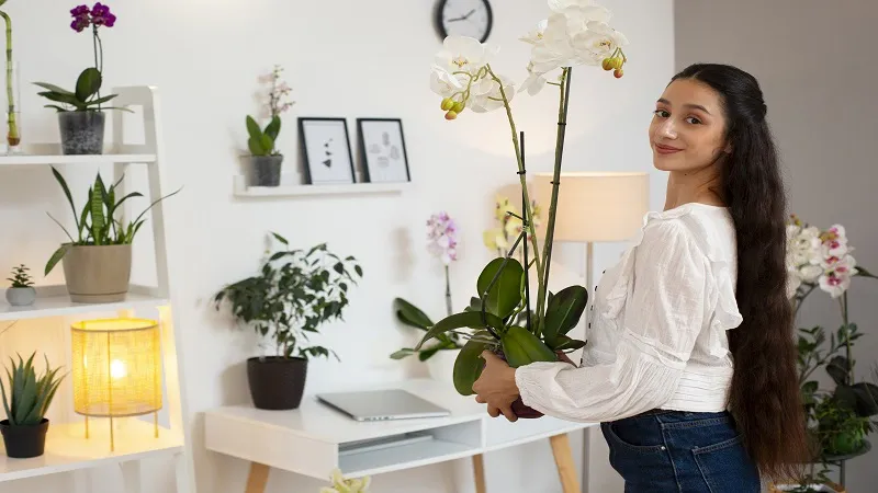 Affordable Home Decor: Stylish Ideas to Beautify Your Home on a Budget